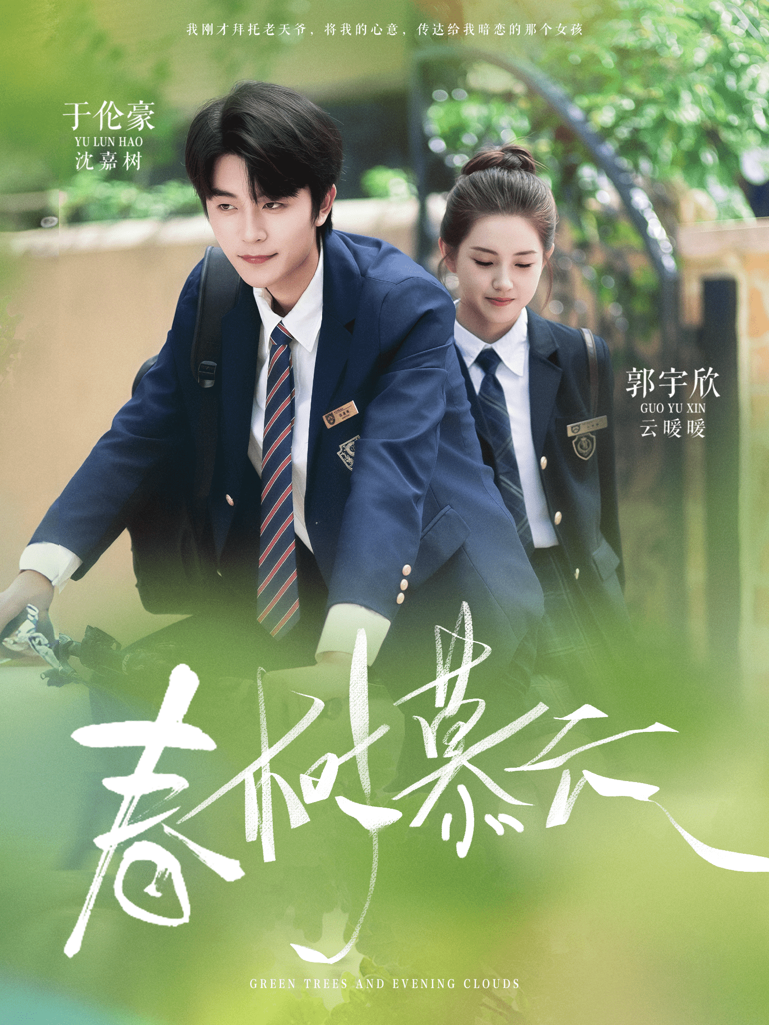 春树慕云