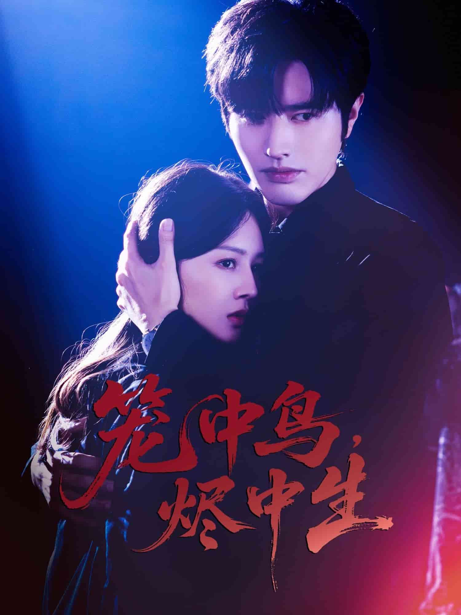 笼中鸟,烬中生