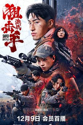 狙击手:激战
