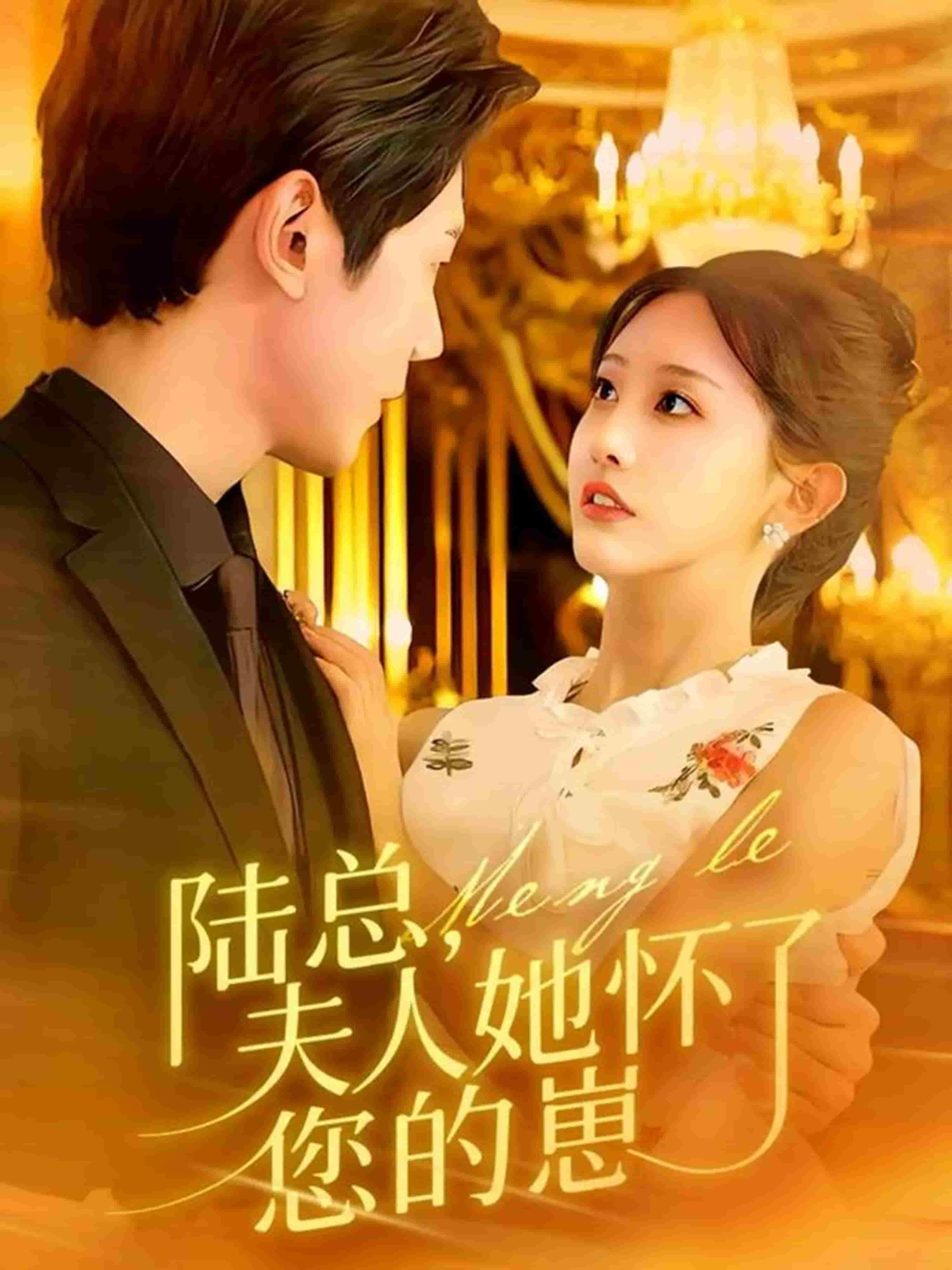 陆总,夫人她怀了您的崽
