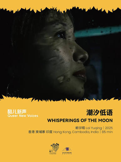 潮汐低语