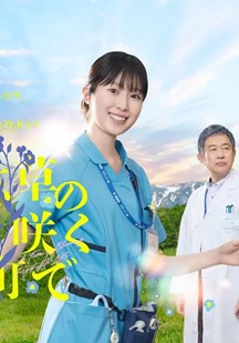 在勿忘草盛开的城镇