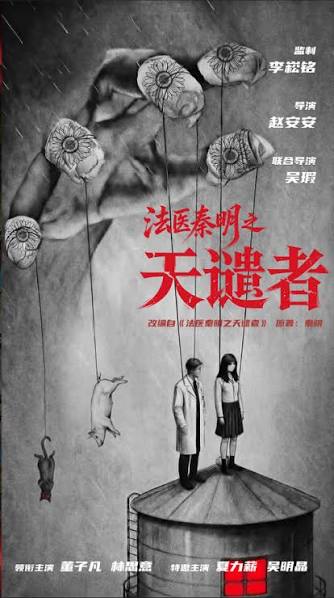法医秦明之天谴者