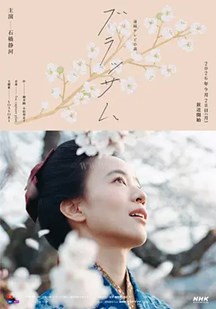 花朵盛开